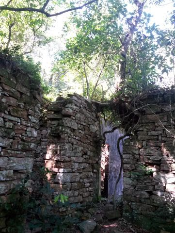 Illustration for article titled A Secret Nazi Hideout May Have Been Discovered In An Argentine Jungle